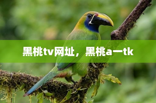 黑桃tv网址，黑桃a一tk
