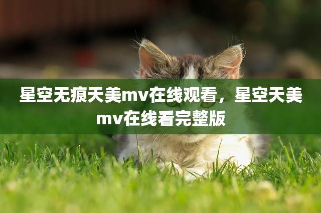 星空无痕天美mv在线观看，星空天美mv在线看完整版