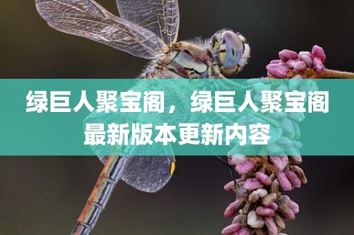 绿巨人聚宝阁，绿巨人聚宝阁最新版本更新内容