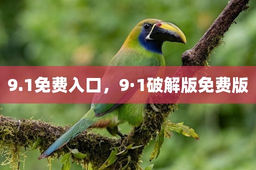 9.1免费入口，9·1破解版免费版