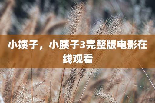 小姨子，小胰子3完整版电影在线观看