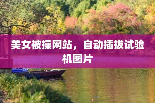 美女被操网站，自动插拔试验机图片