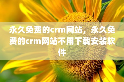 永久免费的crm网站，永久免费的crm网站不用下载安装软件