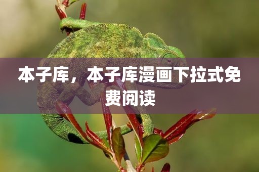 本子库，本子库漫画下拉式免费阅读