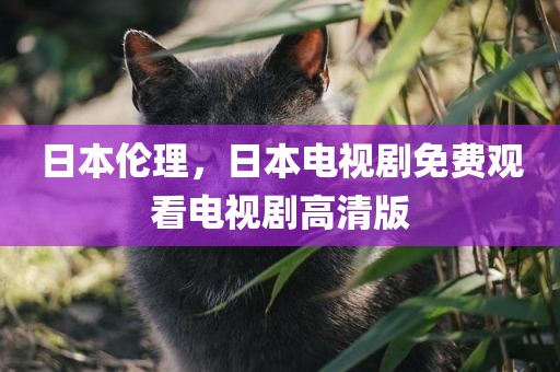 日本伦理，日本电视剧免费观看电视剧高清版