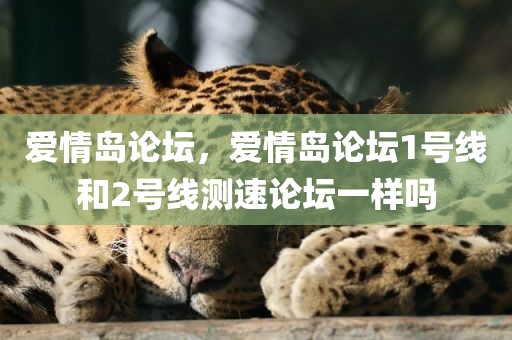 爱情岛论坛，爱情岛论坛1号线和2号线测速论坛一样吗