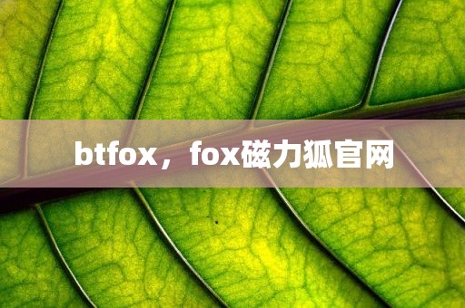 btfox，fox磁力狐官网