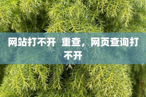 网站打不开  重查，网页查询打不开