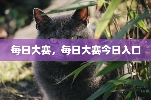 每日大赛，每日大赛今日入口