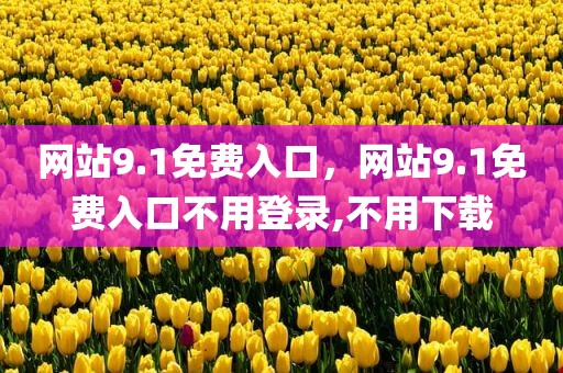 网站9.1免费入口，网站9.1免费入口不用登录,不用下载