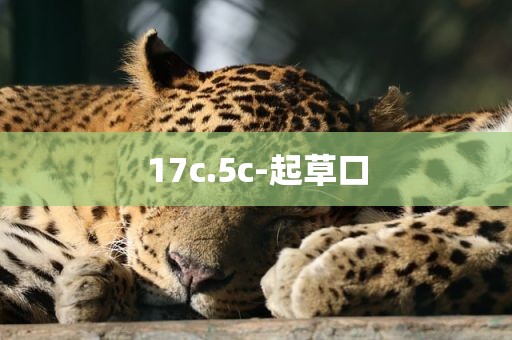 17c.5c-起草口