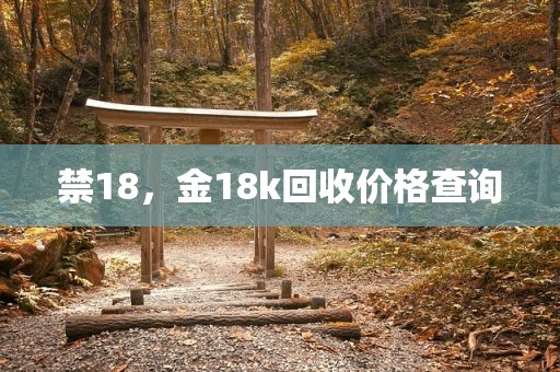 禁18，金18k回收价格查询