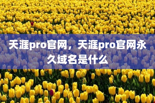 天涯pro官网，天涯pro官网永久域名是什么