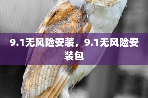 9.1无风险安装，9.1无风险安装包