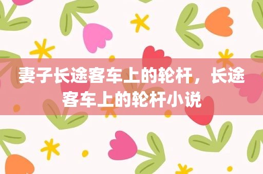妻子长途客车上的轮杆，长途客车上的轮杆小说