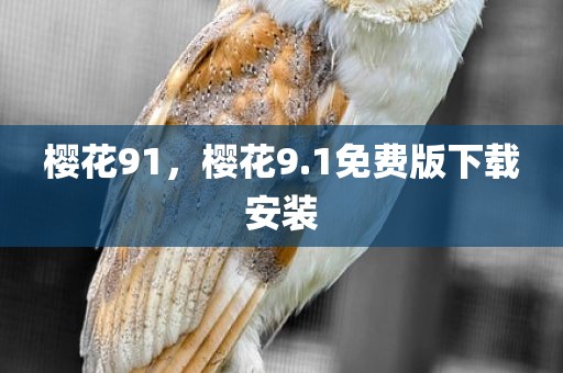 樱花91，樱花9.1免费版下载安装