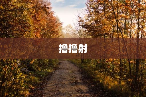 撸撸射