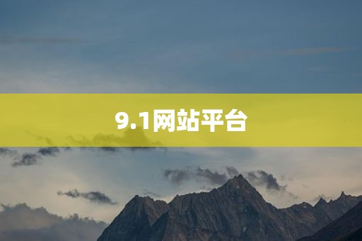 9.1网站平台