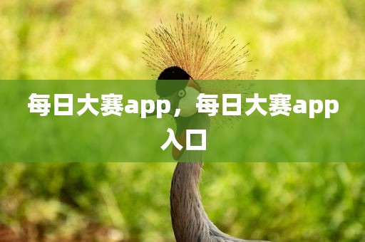 每日大赛app，每日大赛app入口