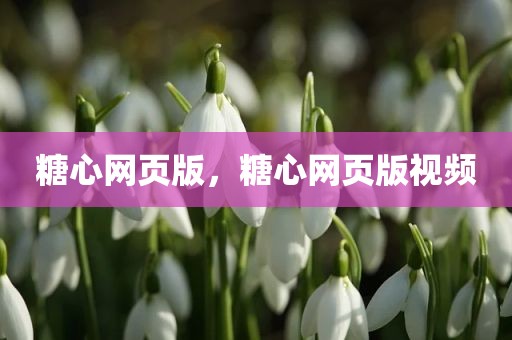 糖心网页版，糖心网页版视频