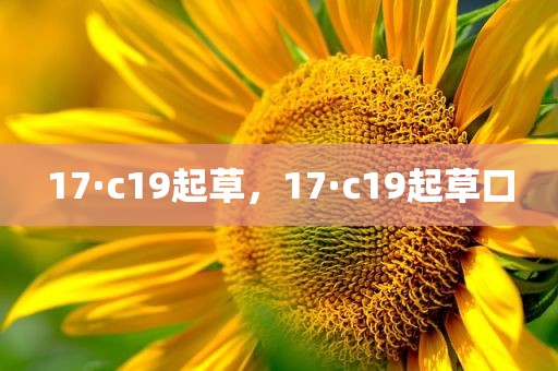 17·c19起草，17·c19起草口
