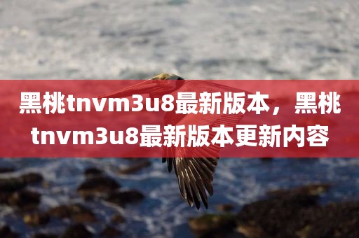 黑桃tnvm3u8最新版本，黑桃tnvm3u8最新版本更新内容