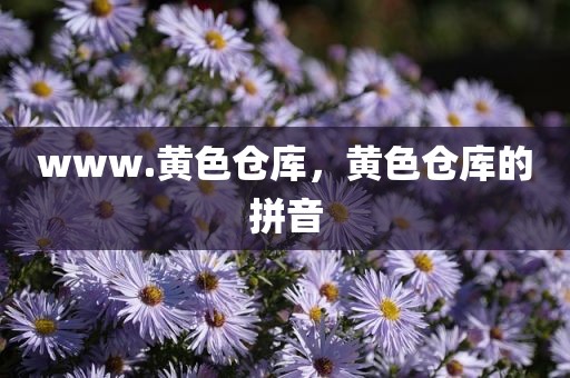 www.黄色仓库，黄色仓库的拼音