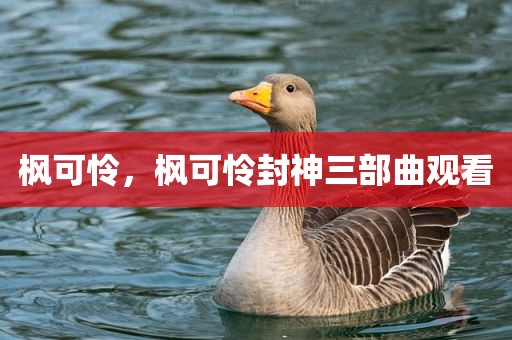 枫可怜，枫可怜封神三部曲观看