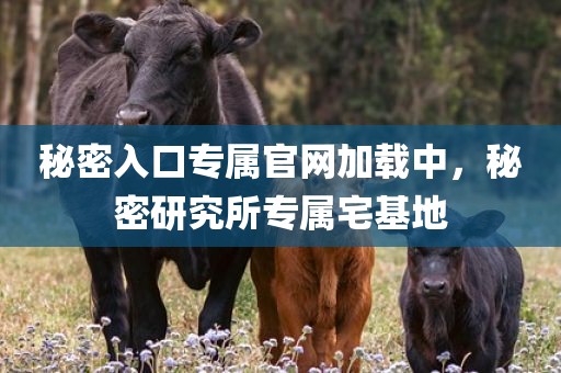 秘密入口专属官网加载中，秘密研究所专属宅基地