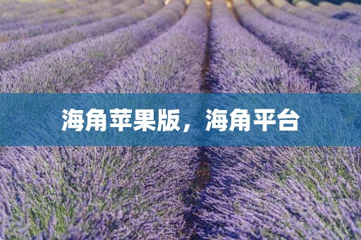 海角苹果版，海角平台