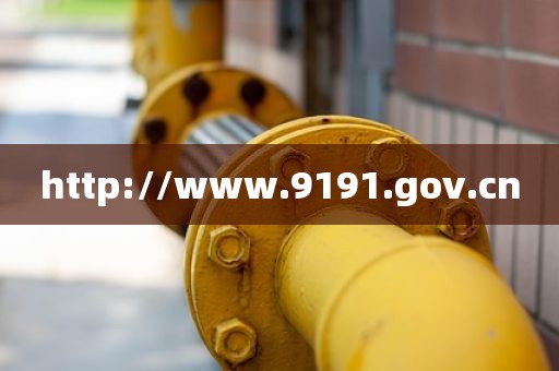 http://www.9191.gov.cn