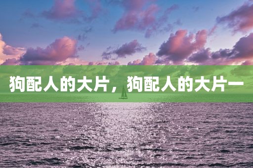狗配人的大片，狗配人的大片一