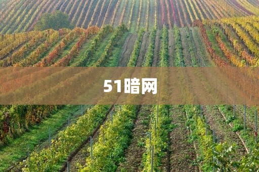 51暗网