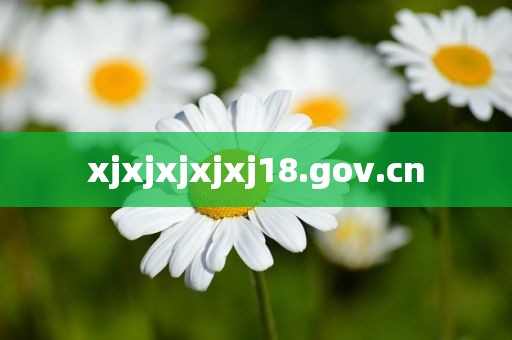 xjxjxjxjxj18.gov.cn