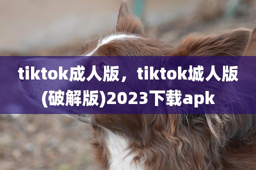 tiktok成人版，tiktok城人版(破解版)2023下载apk