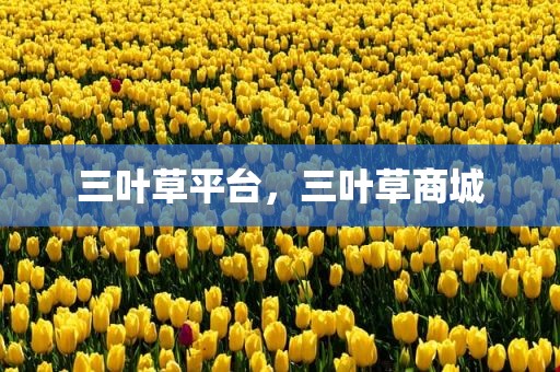 三叶草平台，三叶草商城