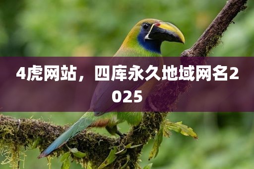 4虎网站，四库永久地域网名2025