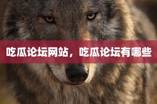 吃瓜论坛网站，吃瓜论坛有哪些