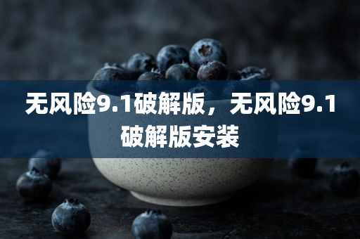 无风险9.1破解版，无风险9.1破解版安装