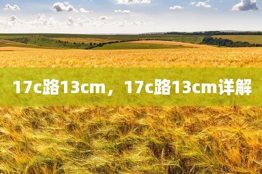 17c路13cm，17c路13cm详解