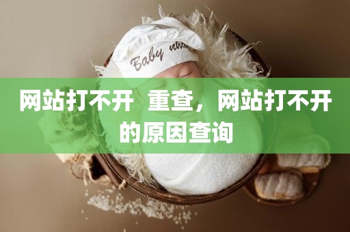 网站打不开  重查，网站打不开的原因查询