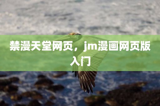 禁漫天堂网页，jm漫画网页版入门
