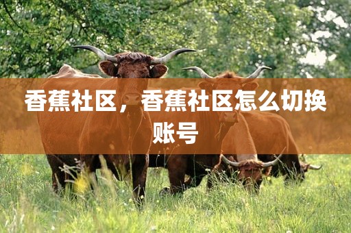香蕉社区，香蕉社区怎么切换账号