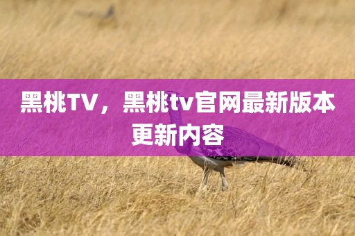 黑桃TV，黑桃tv官网最新版本更新内容