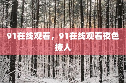 91在线观看，91在线观看夜色撩人