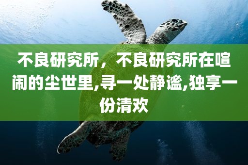 不良研究所，不良研究所在喧闹的尘世里,寻一处静谧,独享一份清欢