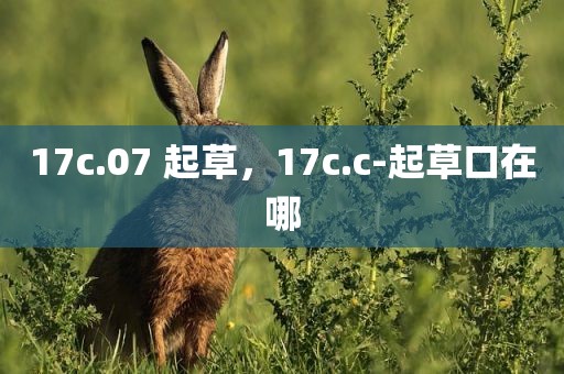 17c.07 起草，17c.c-起草口在哪