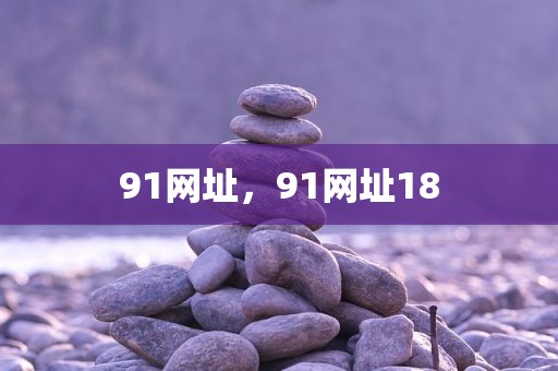 91网址，91网址18