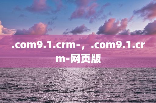.com9.1.crm-，.com9.1.crm-网页版