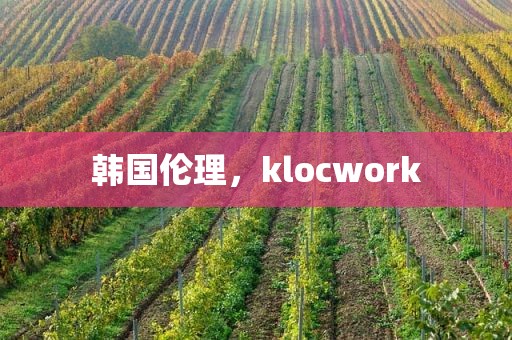韩国伦理，klocwork